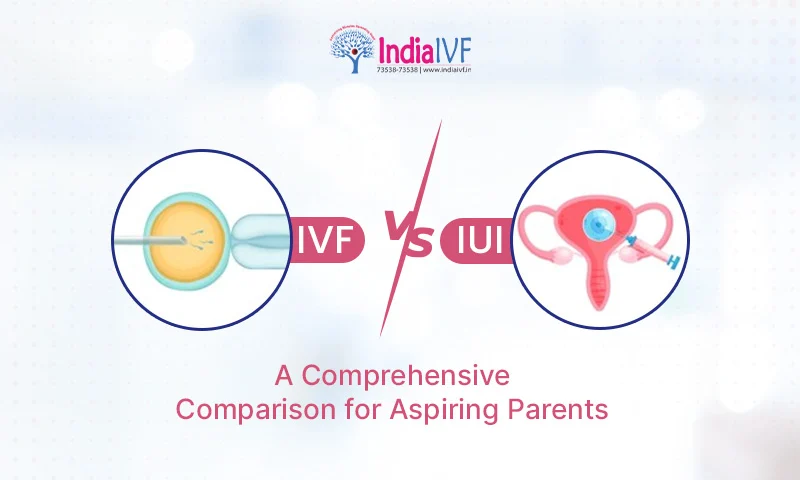IVF vs IUI comparison graphic highlighting reproductive methods for aspiring parents.