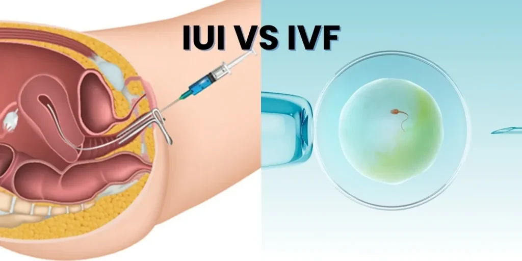 comparison of IUI and IVF fertility treatments with illustrations of procedures and a petri dish with an egg and sperm