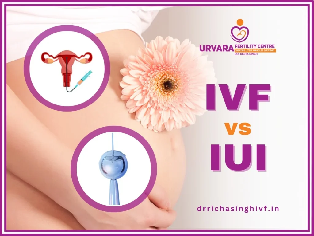 IVF vs IUI comparison with illustrations of reproductive processes and a flower on a pregnant belly.